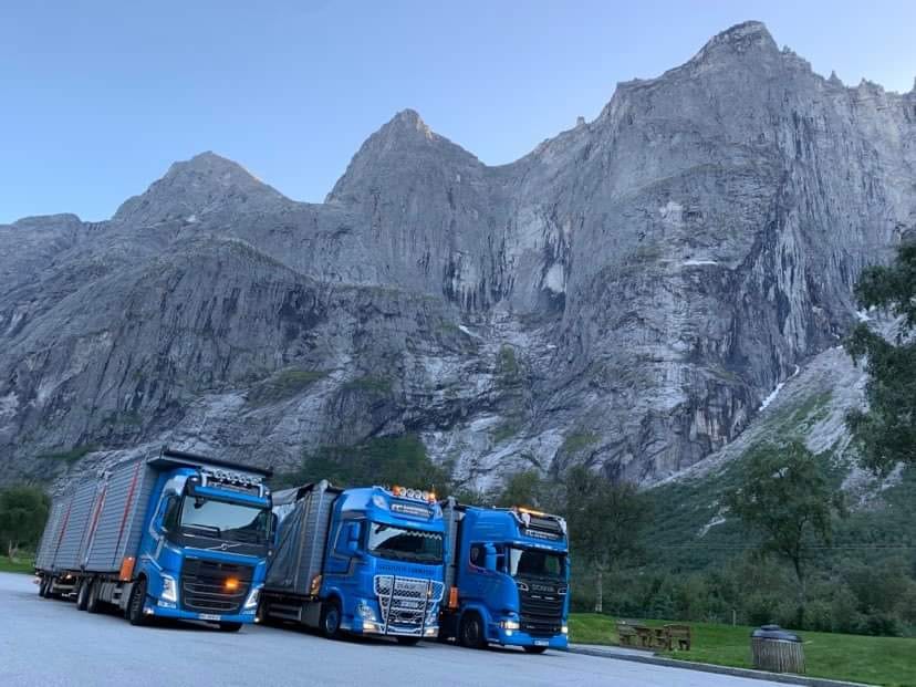 Lastebiler fra F C Transportservice på rad